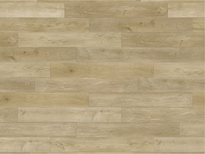 Paradigm Conquest Royalty 9 x 72